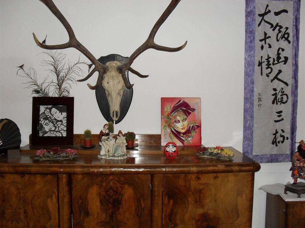 Pension Casa Samurai บราชอฟ ภายนอก รูปภาพ